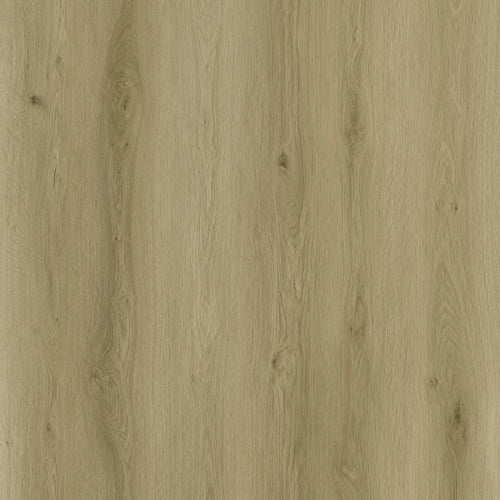 Sense - Serie EXLargo - EXL 540 - Click