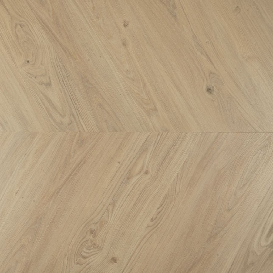 Douwes Dekker - Ambitieus - 07811 - Hongaarse Punt Panna Cotta - Dryback