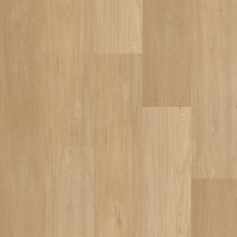 Therdex - Chevron Serie - Rechte Plank - C12041 - Click