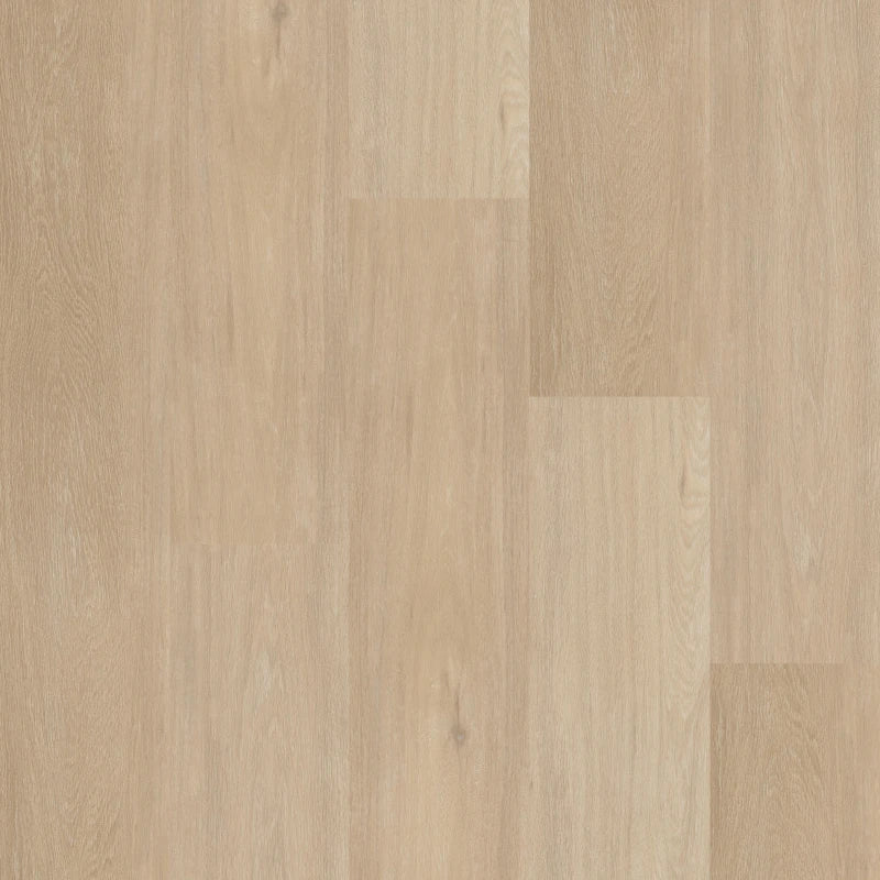 Therdex - Chevron Serie - Rechte Plank - C12042 - Click