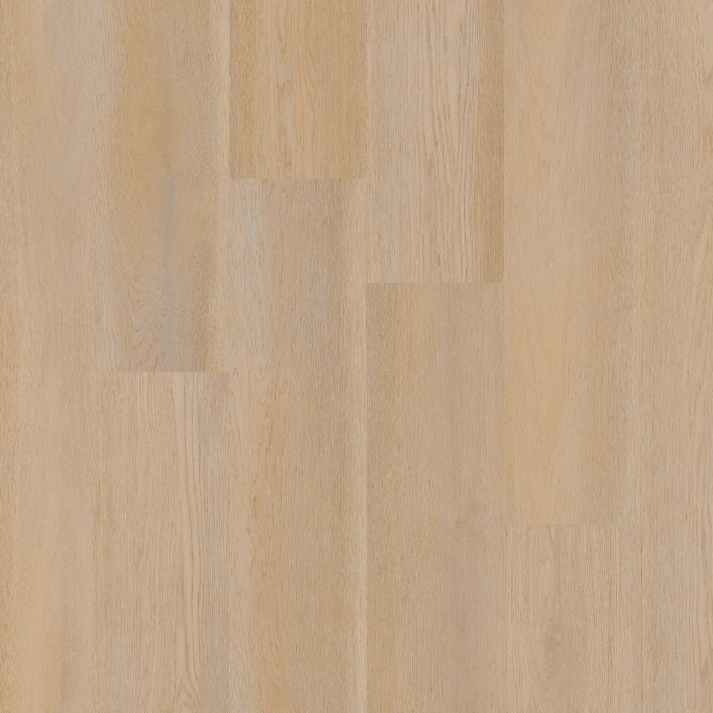 Therdex - Premier Serie - 15080 - Dryback