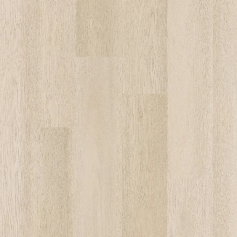 Therdex - Premium Serie - C15081 - Click