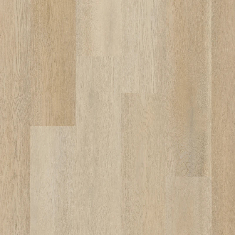 Therdex - Premium Serie - C15082 - Click