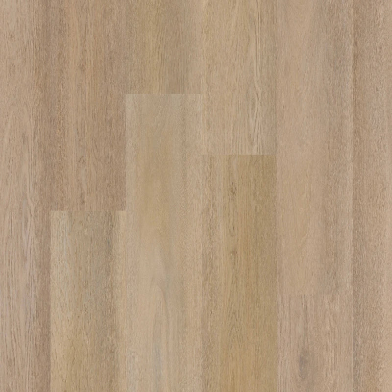 Therdex - Premium Serie - C15084 - Click