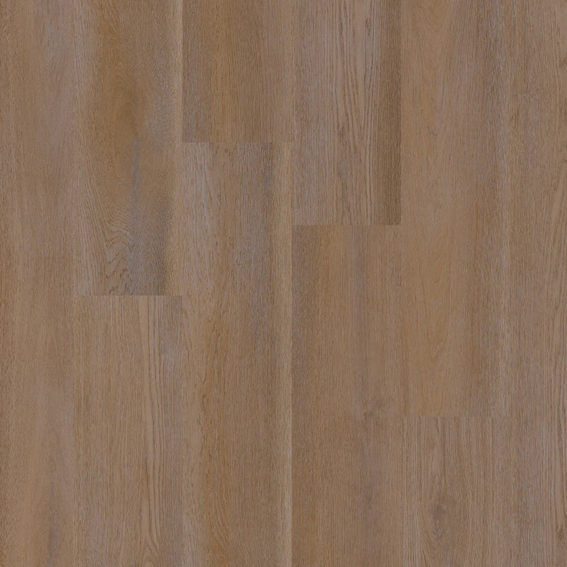 Therdex - Premier Serie - 15085 - Dryback