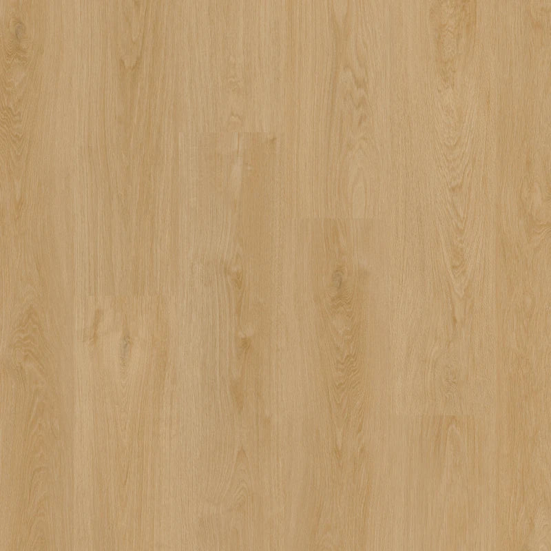 Therdex - Classic Serie - Recht Plank - 15121 - Dryback