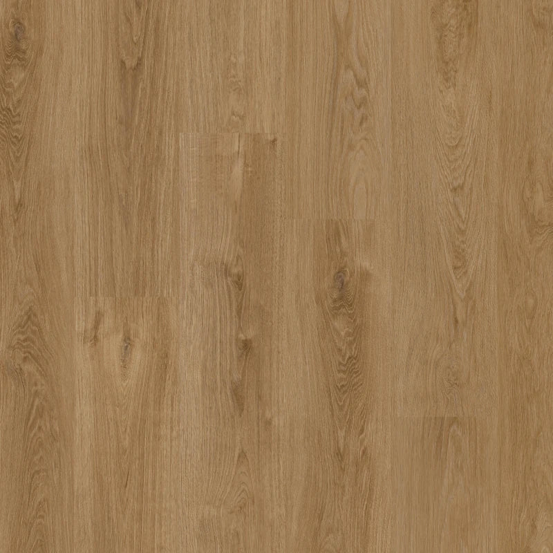Therdex - Classic Serie - Recht Plank - 15124 - Dryback