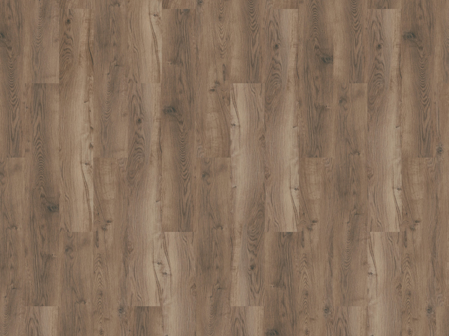 Mflor - Bramster Chestnut - 81601 - Nutmeg - Dryback