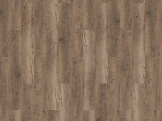 Mflor - Bramster Chestnut - 81601 - Nutmeg - Dryback
