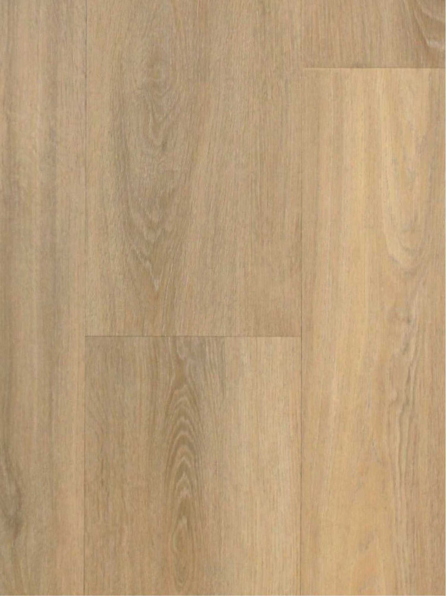 EKOFloors - Excellent Dryback - Pure Oak Praag Amazone - BD506