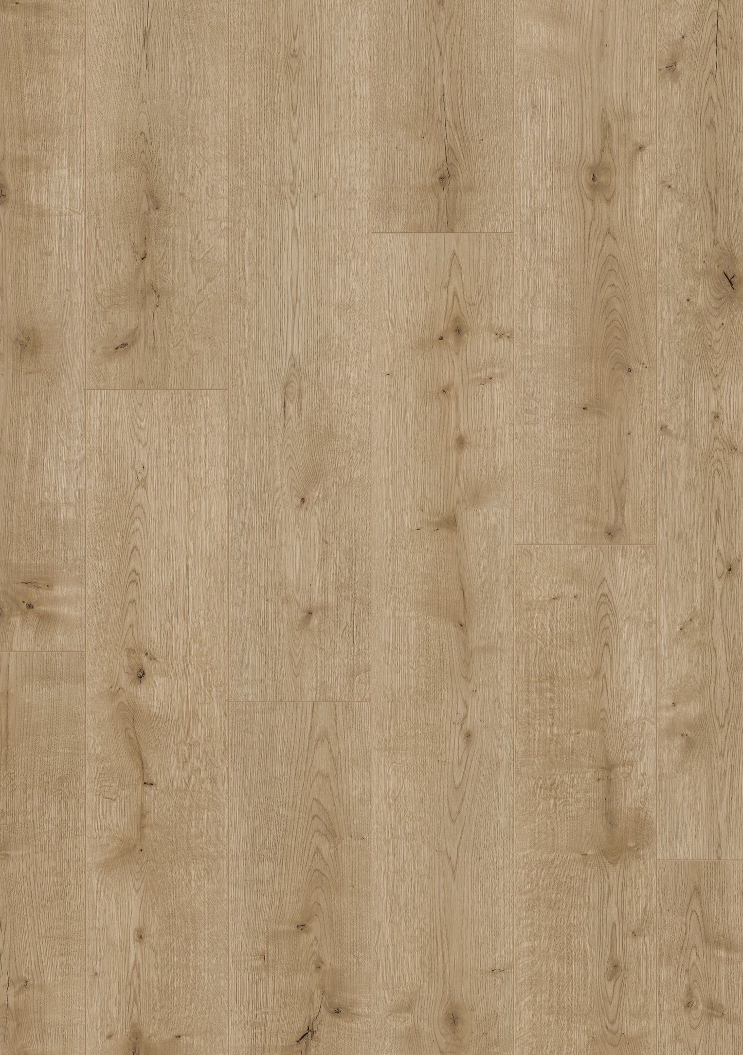 Hoomline - Laminaat - Optima V4 - Hobart 837