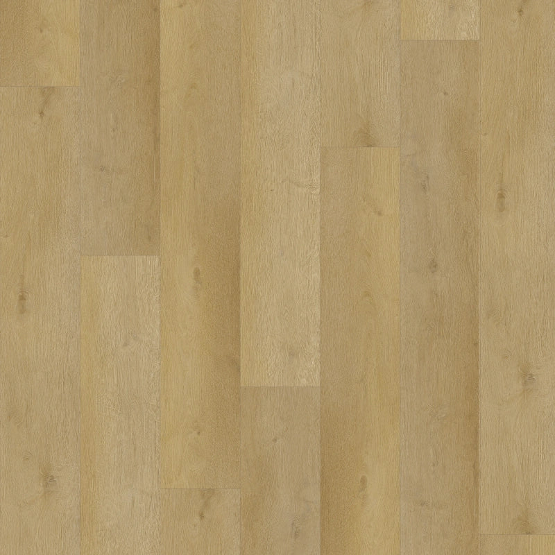 Castell - Supreme 860 - 133 Coffee - XXL Plank - Dryback