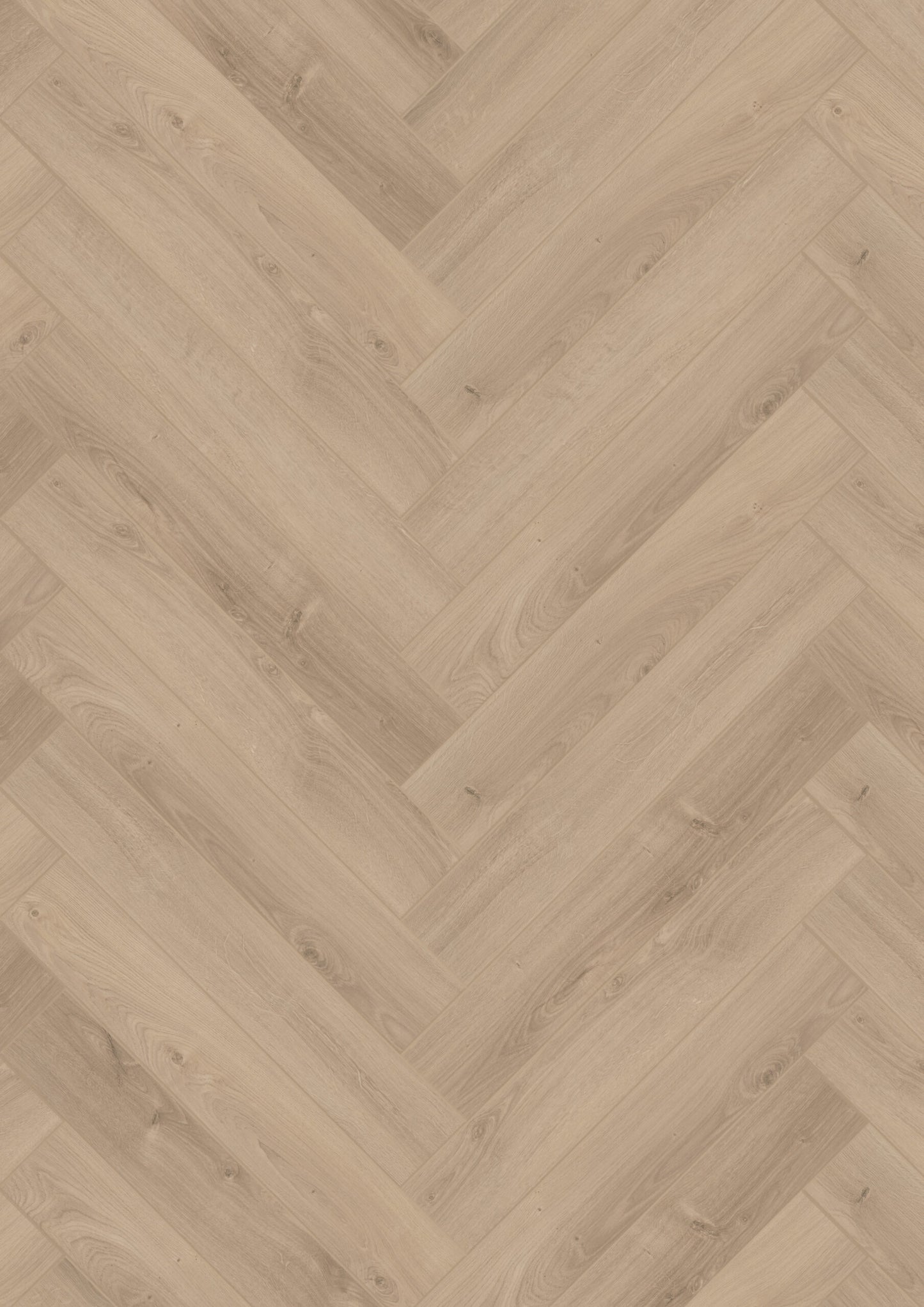 Hoomline - Laminaat - Herringbone V4 Aquaprotect - Kabeljauw 2309