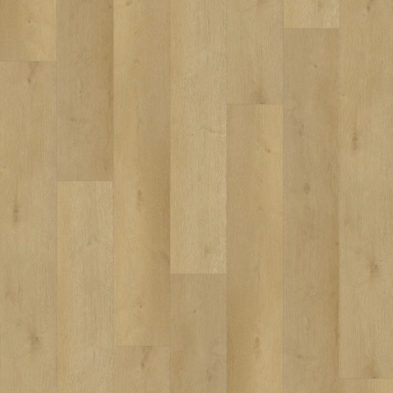 Castell - Supreme 860 - 135 Mokka - XXL Plank - Dryback
