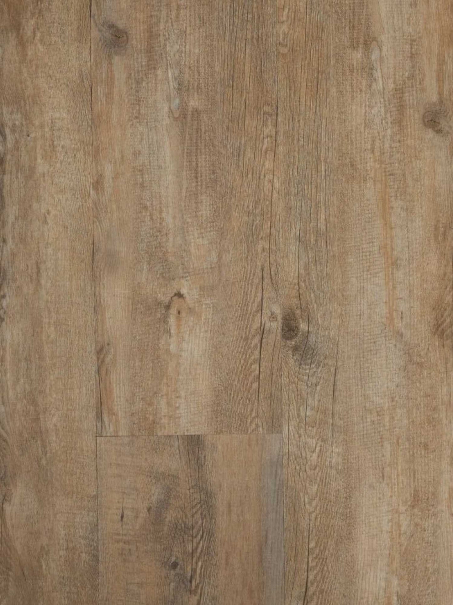 EKOFloors - Excellent Dryback - Raw Pine Olympus - BD503