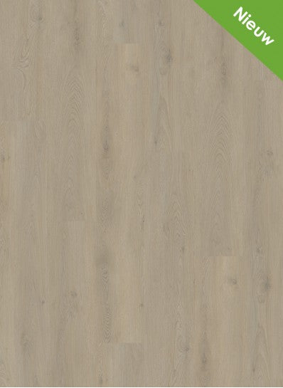 Gelasta - Mystiq - 2802 - Natural Light - Click