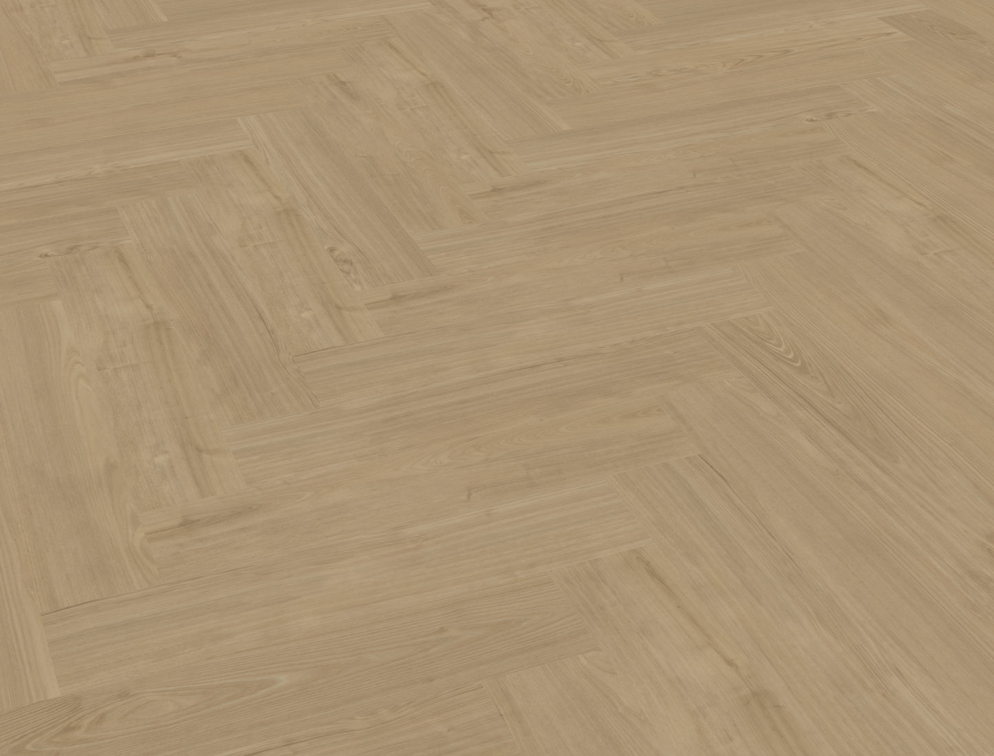 Belakos - 54 - Portico - Click - Visgraat XL