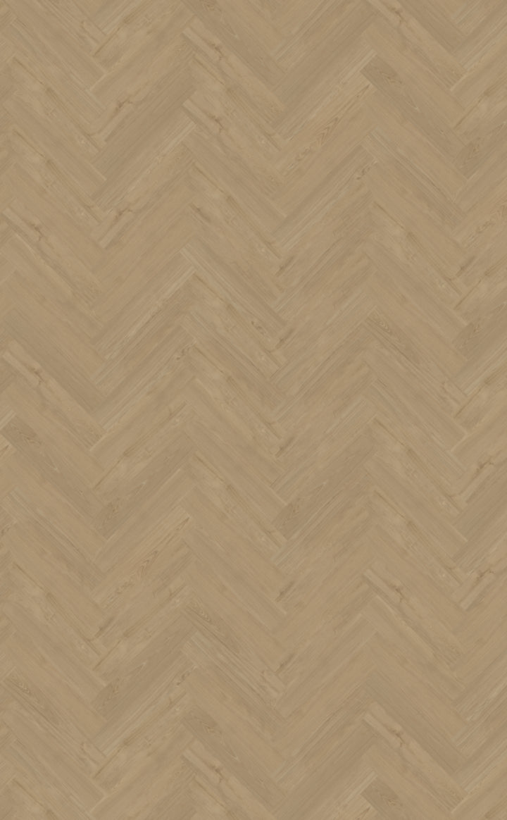 Belakos - 54 - Portico - Click - Visgraat XL