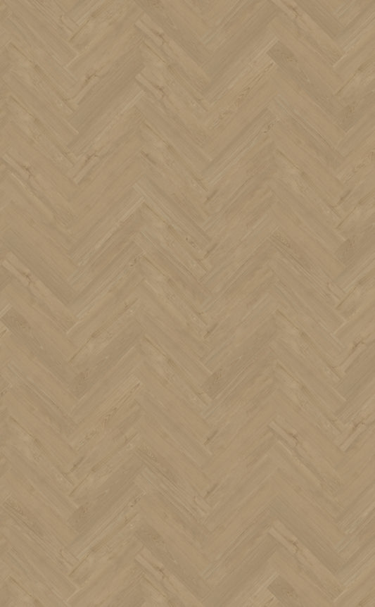 Belakos - 54 - Portico - Click - Visgraat XL