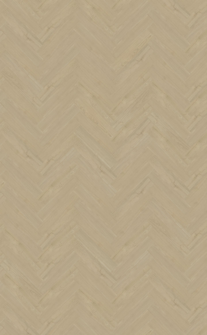 Belakos - 57 - Portico - Click - Visgraat XL