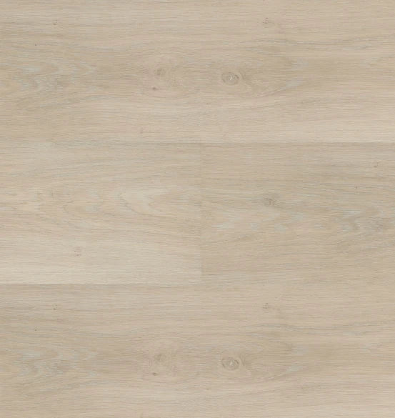 Hebeta - Chapelle XL - 54841 - Rechte Plank - Dryback