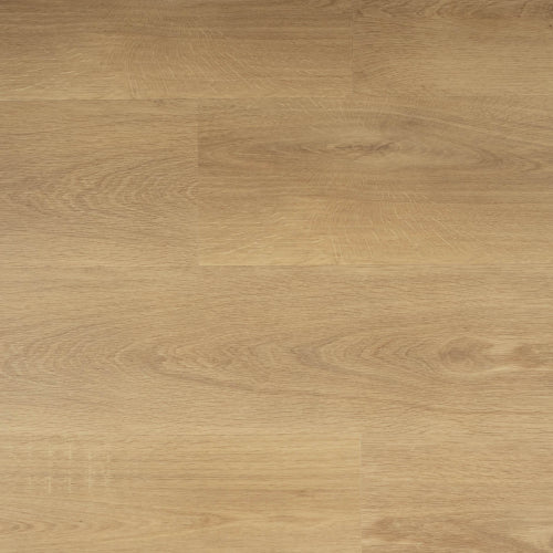 Sense - Serie G - 955 - Click