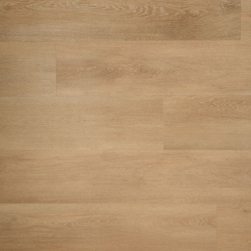 Douwes Dekker - Ambitieus Riante Plank - Dryback