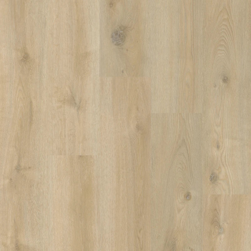 Therdex - Original Serie - 15041 - Dryback