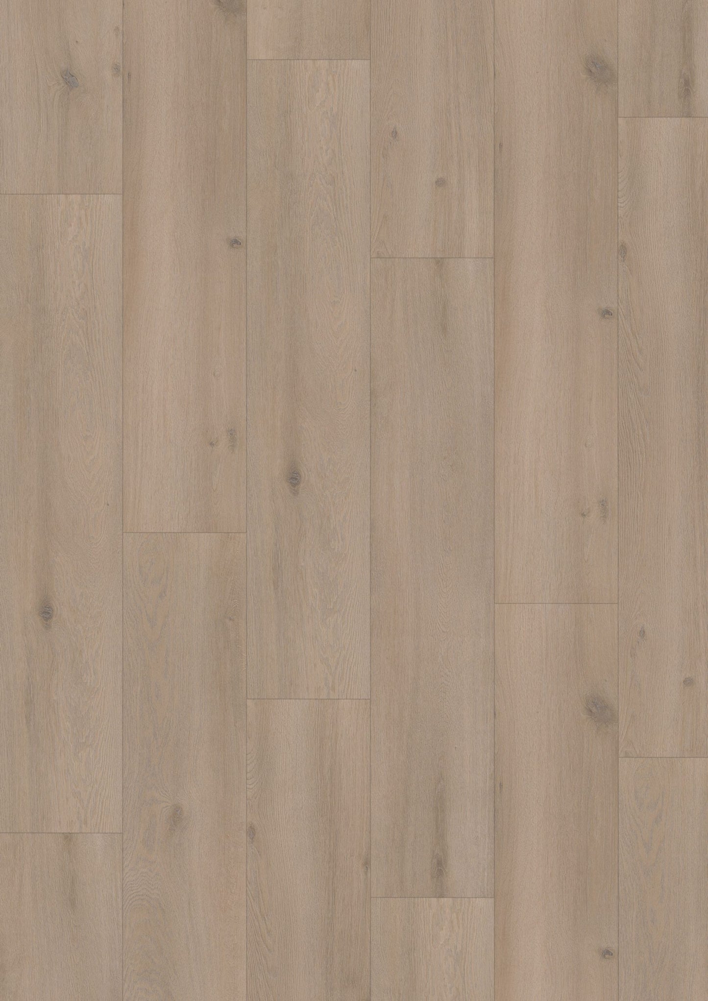 Hoomline - Laminaat - Elite XL V4 Aquaprotect - Geul 6082