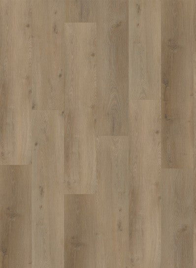 Gelasta - Vario - Dryback