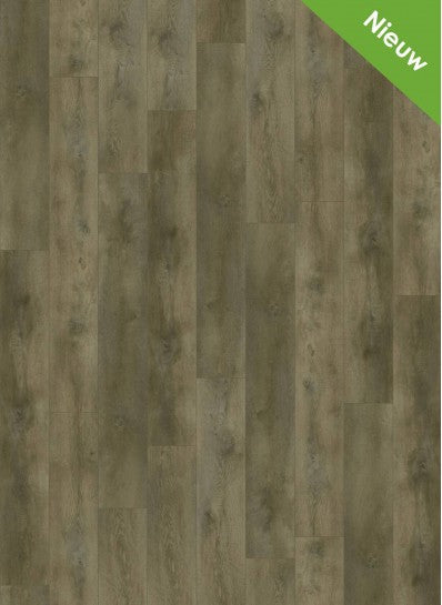 Gelasta - Nevada - 6000 - Valley Oak Smoked - Dryback