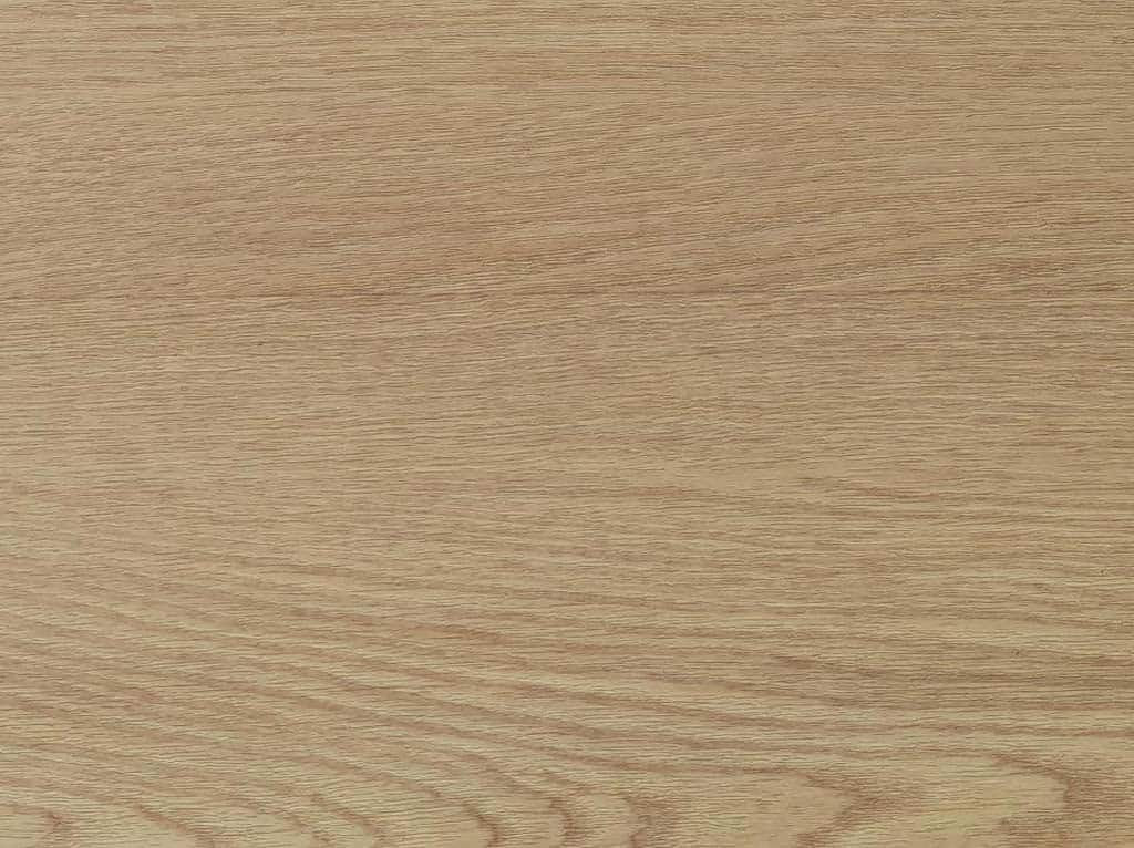 Castell Premium 3 - Dryback