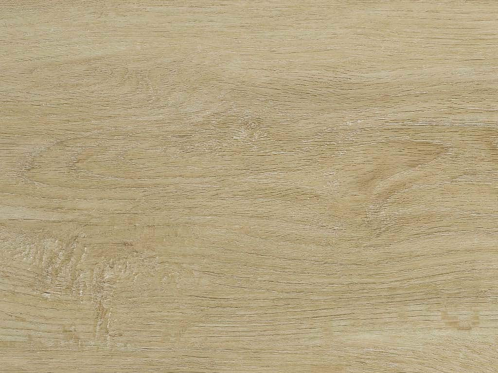 Castell Premium 3 - Dryback