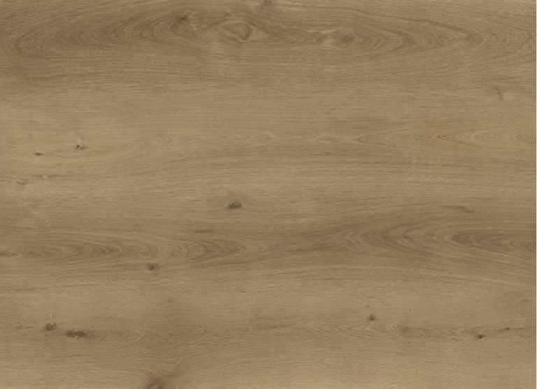 Sense - Serie P - 955 - Dyback