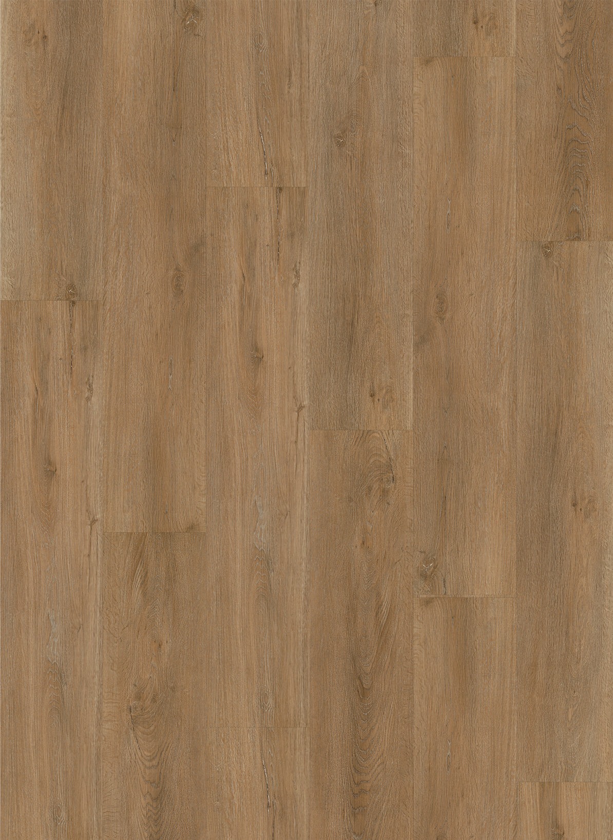 Gelasta - Authentic - 4802 - Classic Oak Natural - Dryback