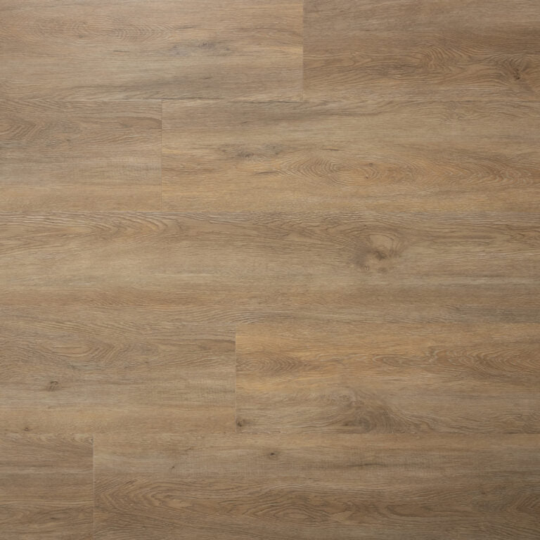 Sense - Serie P - 760 - Dyback