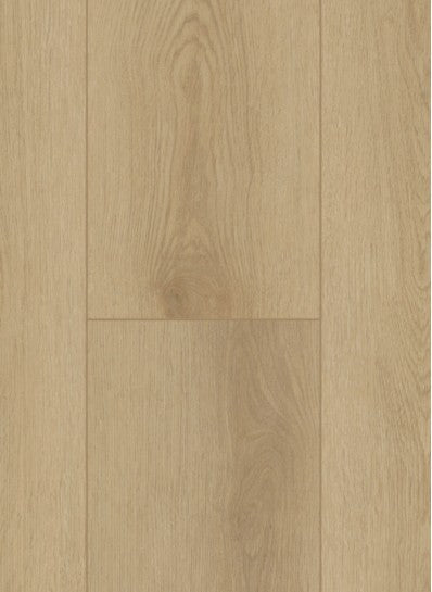 Gelasta - Firmfit - Sierra Light - 6500 - Dryback