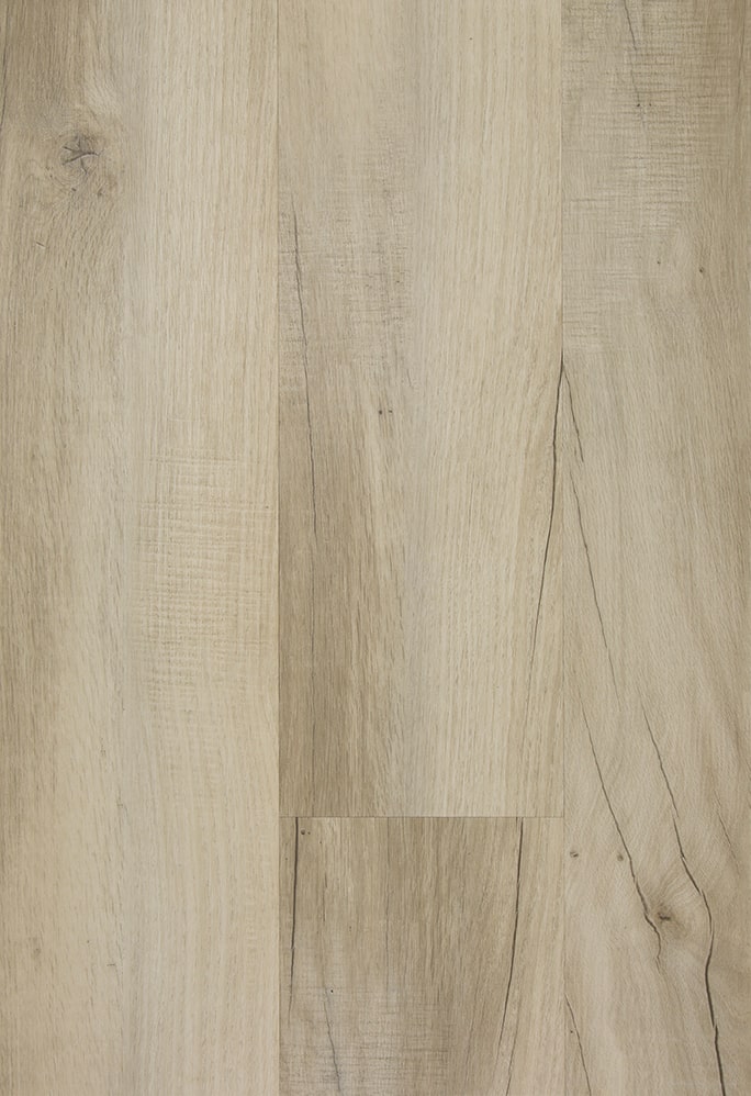 TFD on the Floor - Futura 39-12 - Dryback (uitlopend)