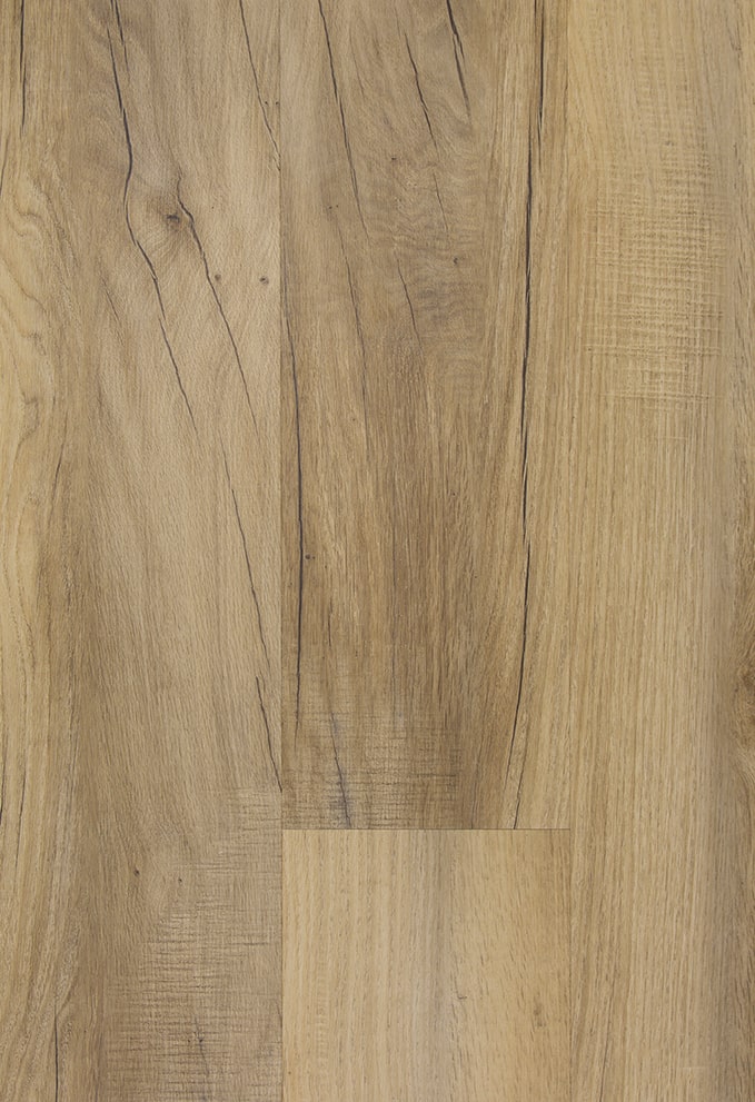 TFD on the Floor - Futura 39-5 - Dryback (uitlopend)