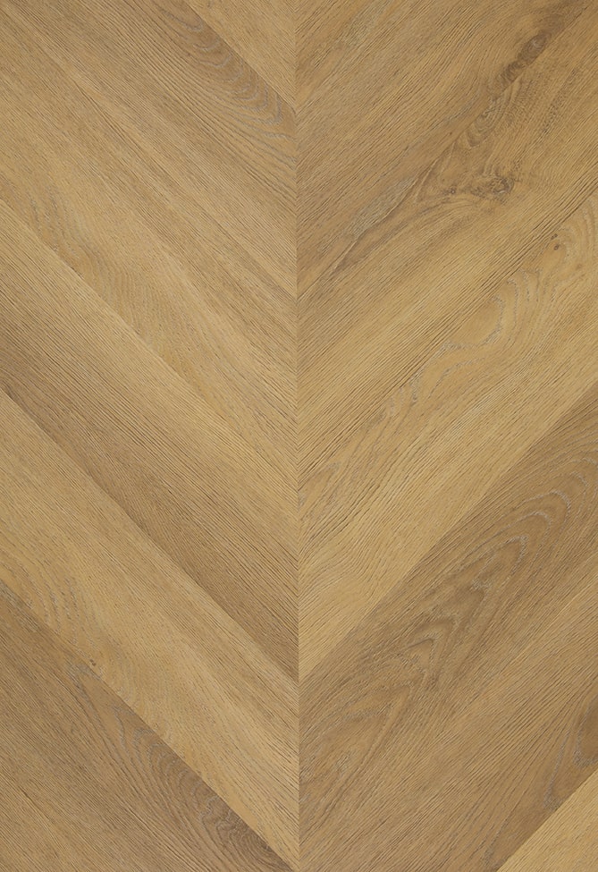 TFD on the Floor - Hungarian Point 1618 - Hongaarse Punt - Dryback