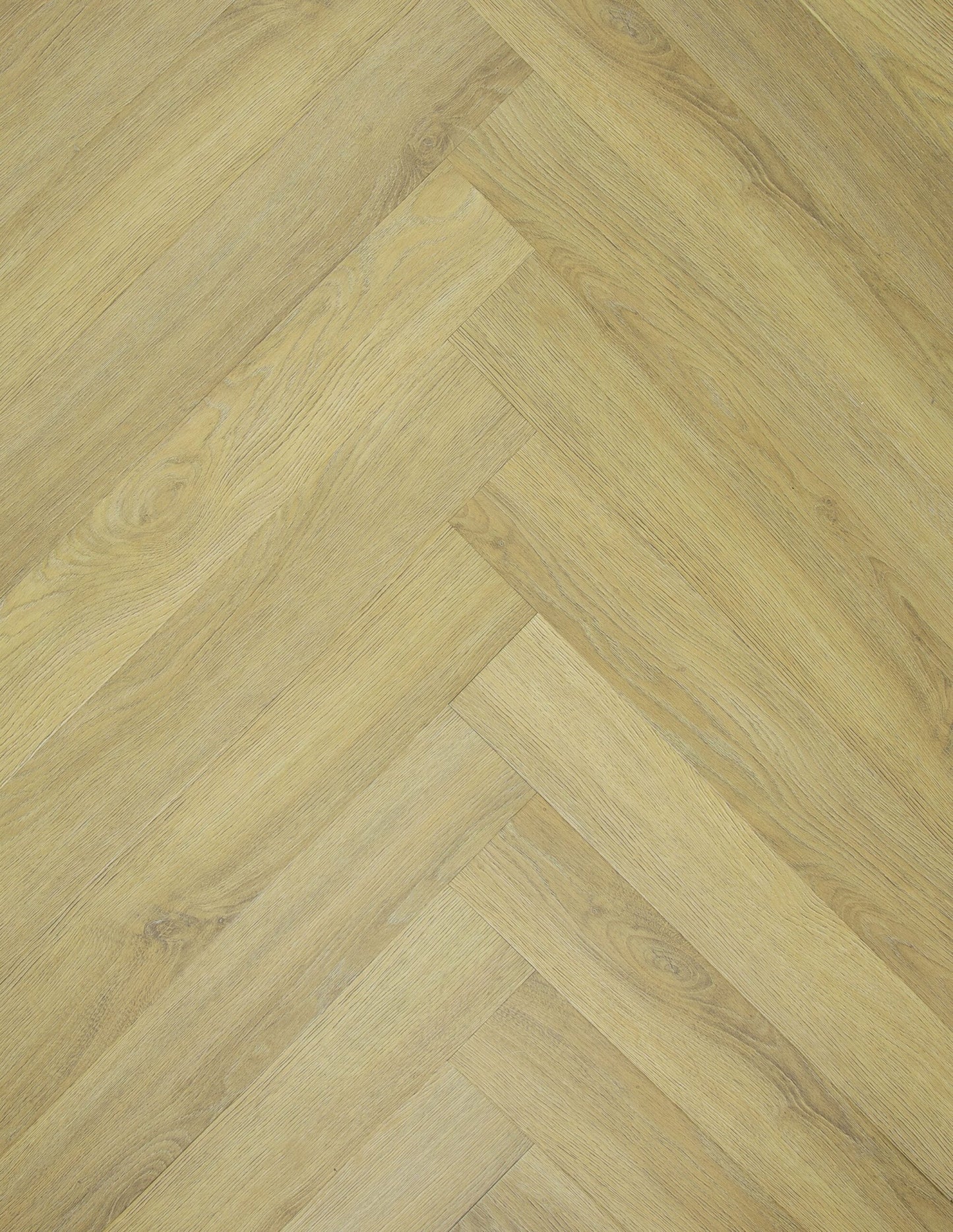 TFD on the Floor - Ossis 18 - Visgraat - Dryback