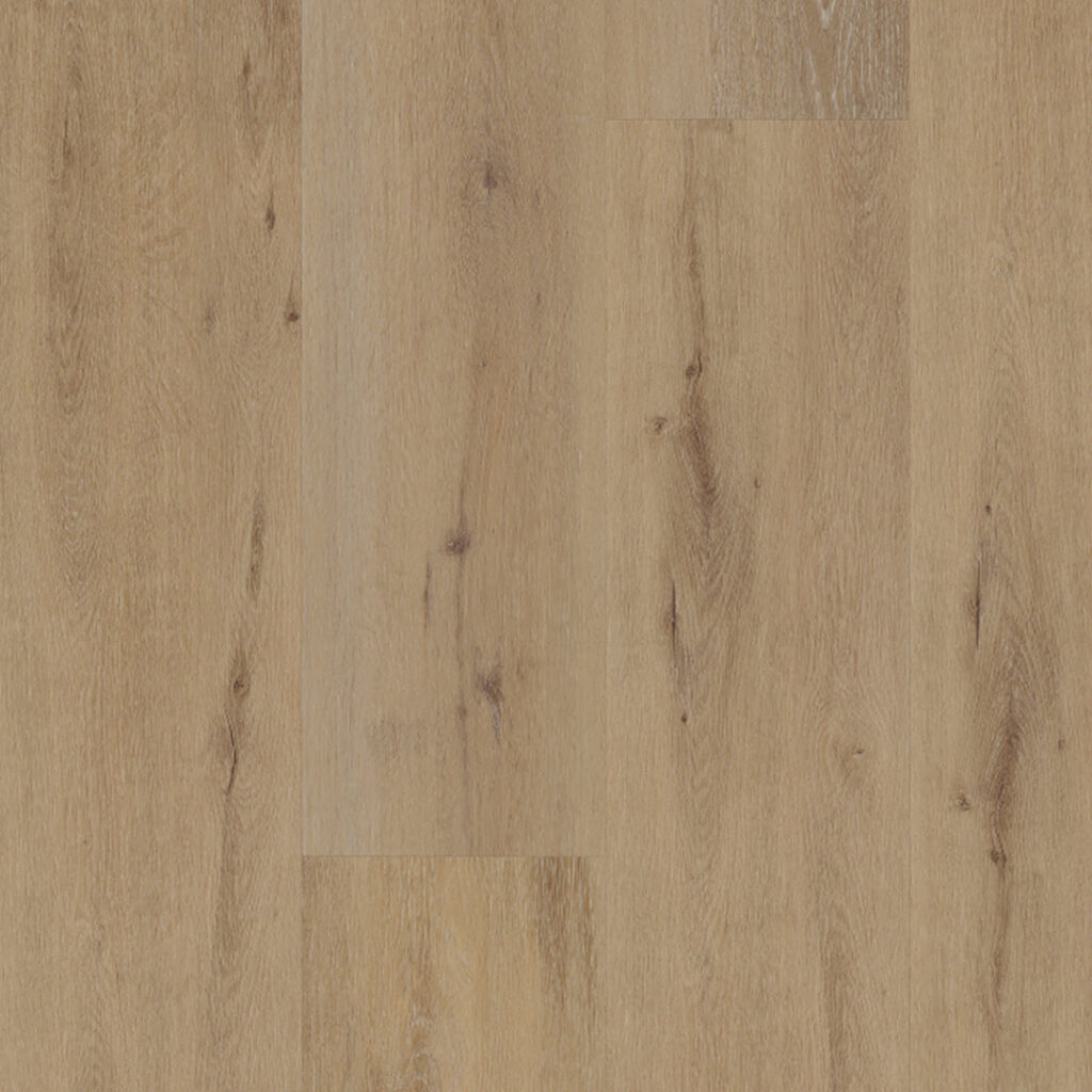 Belakos - 800 - Attico - 2157 - Dryback