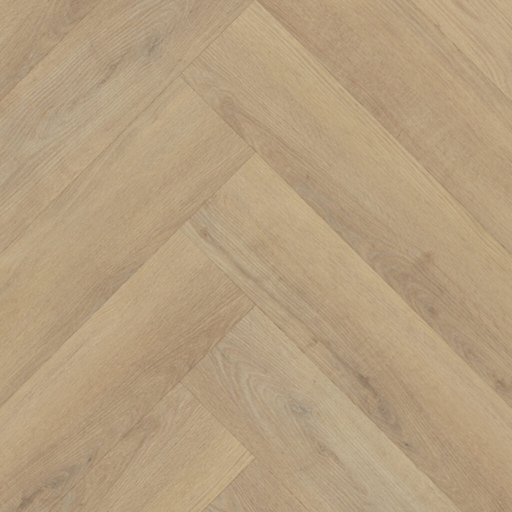 Belakos - 72 - Palazzo Visgraat XL - 2156 - Dryback