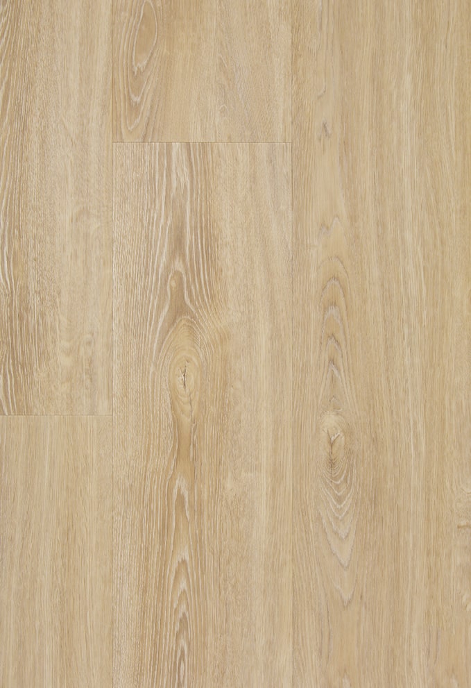 TFD on the Floor - Style Pro 9 - Dryback