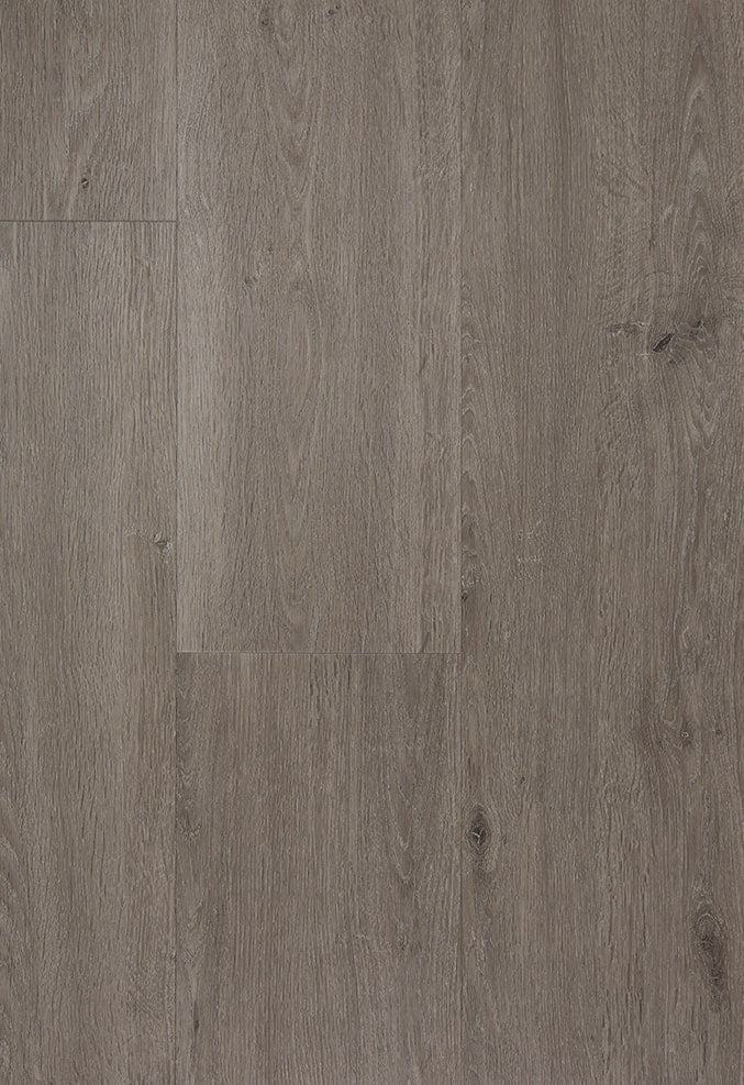 TFD on the Floor - Style Pro Sharon 5 - Dryback