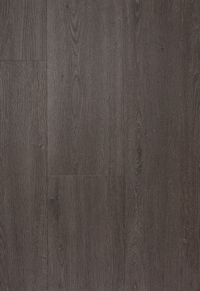 TFD on the Floor - Style Pro Sharon 5 - Dryback