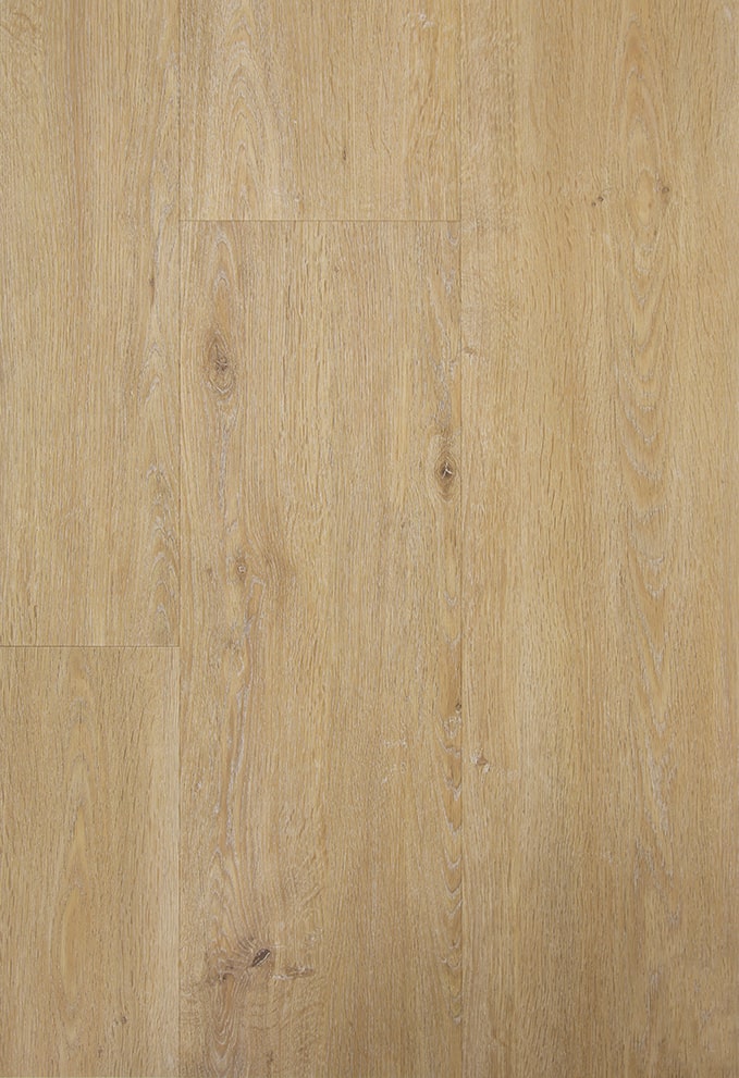 TFD on the Floor - Style Pro Sharon 5 - Dryback
