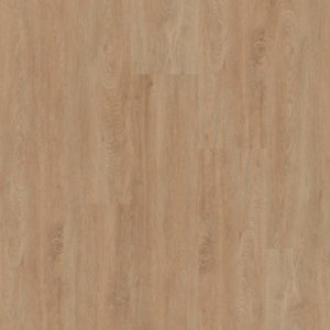 Therdex - Basic Serie - 2010 - Dryback