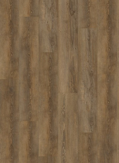 Gelasta - City - 4604 - Olympia Pine Natural - Dryback
