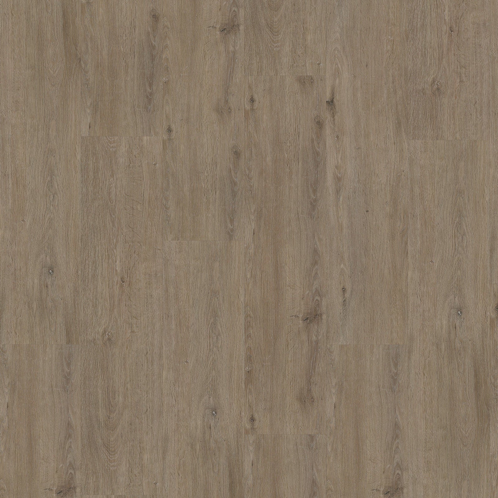 Vivafloors - 6500 Serie - Dryback